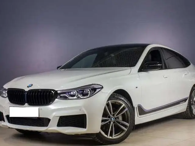 BMW 6 serijos 2019 m. - 1